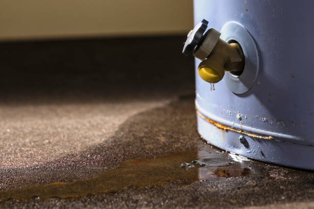 Best Water damage restoration near me  in Clayton, DE