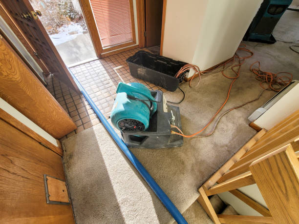 Best 24-hour water damage restoration  in Clayton, DE