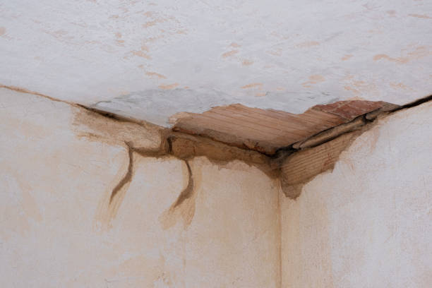 Professional Water damage restoration in DE