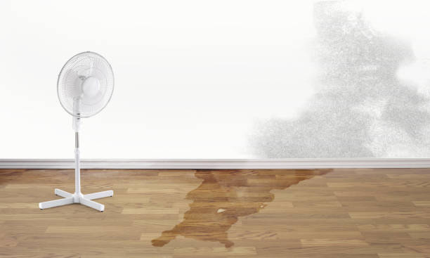 Best 24-hour water damage restoration  in Clayton, DE