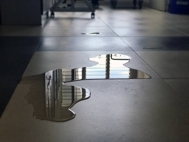 Best Commercial water damage restoration  in Clayton, DE