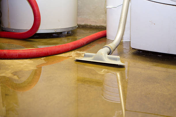  Clayton, DE Water damage restoration Pros