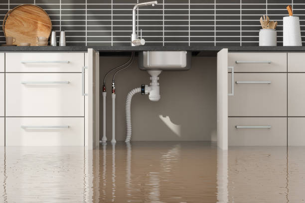 Best Sewage cleanup and water damage restoration  in Clayton, DE